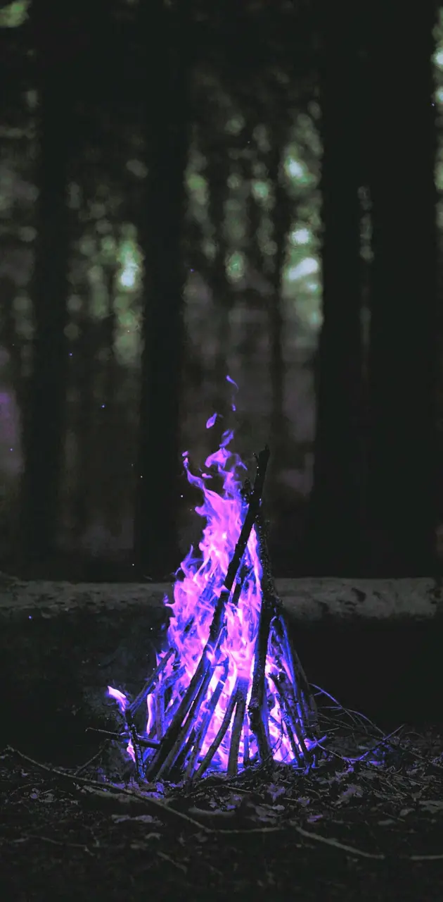 Purple Fire