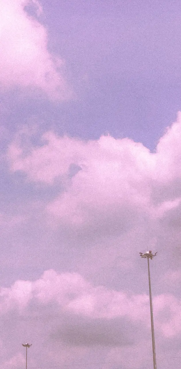 Pink Cloud