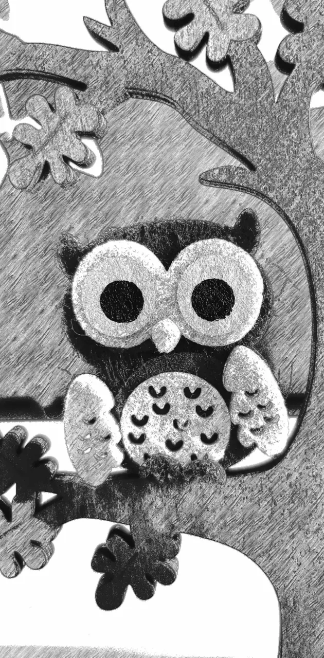 Owl black and white