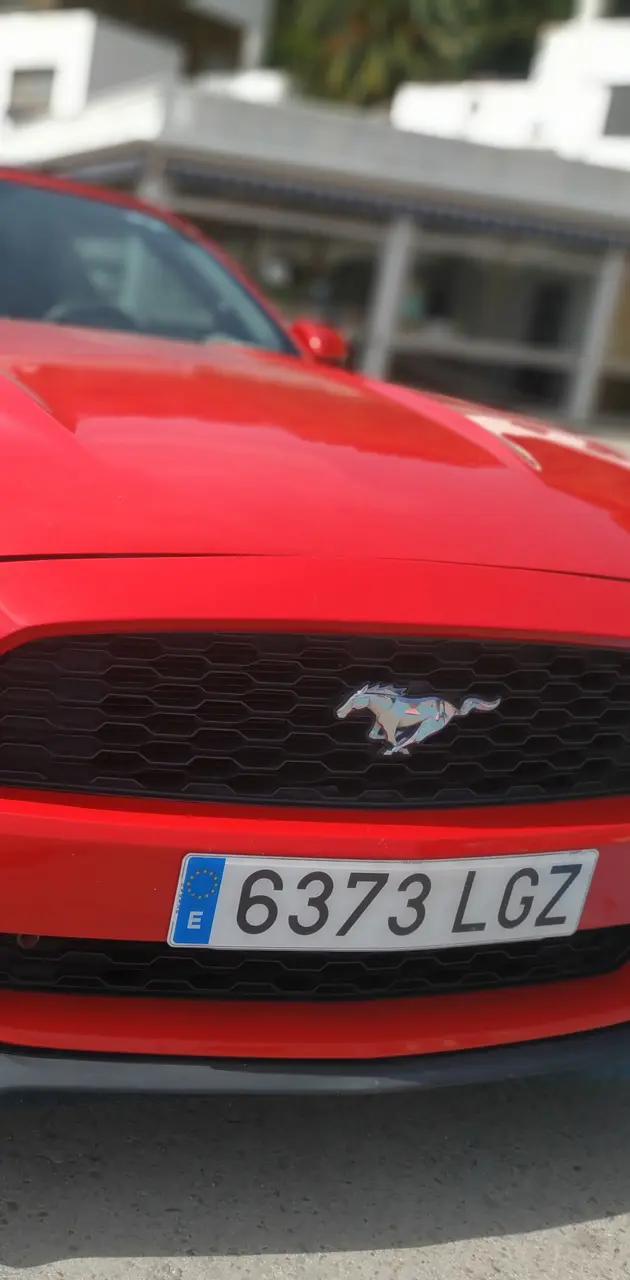 Mustang ford Mustang 