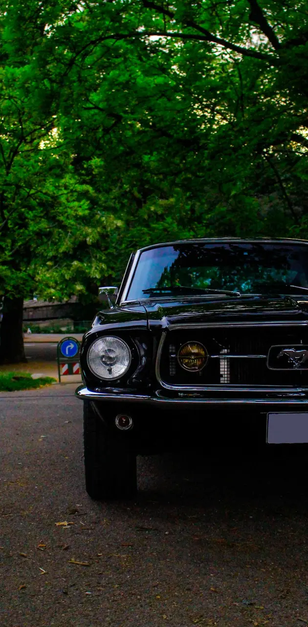Mustang Oldtimer