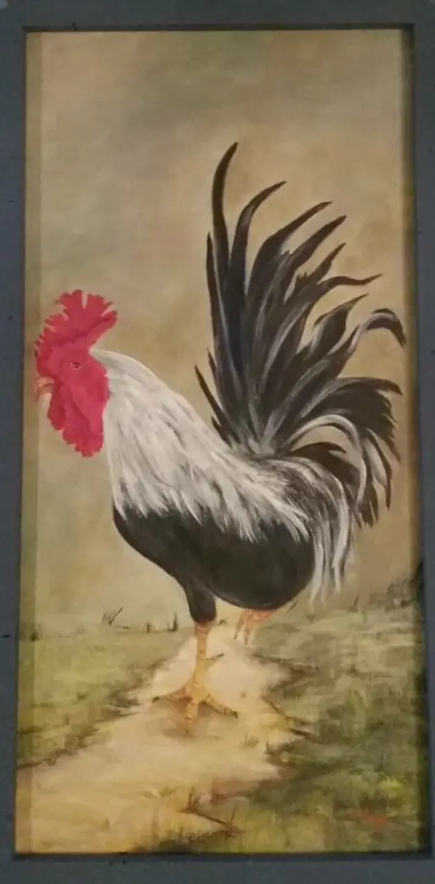 Classic Rooster