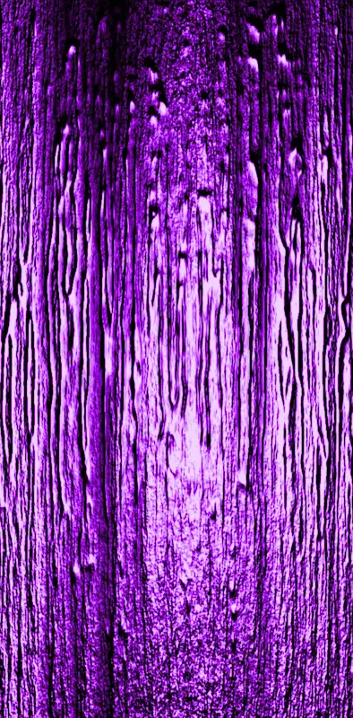 Violet Texture
