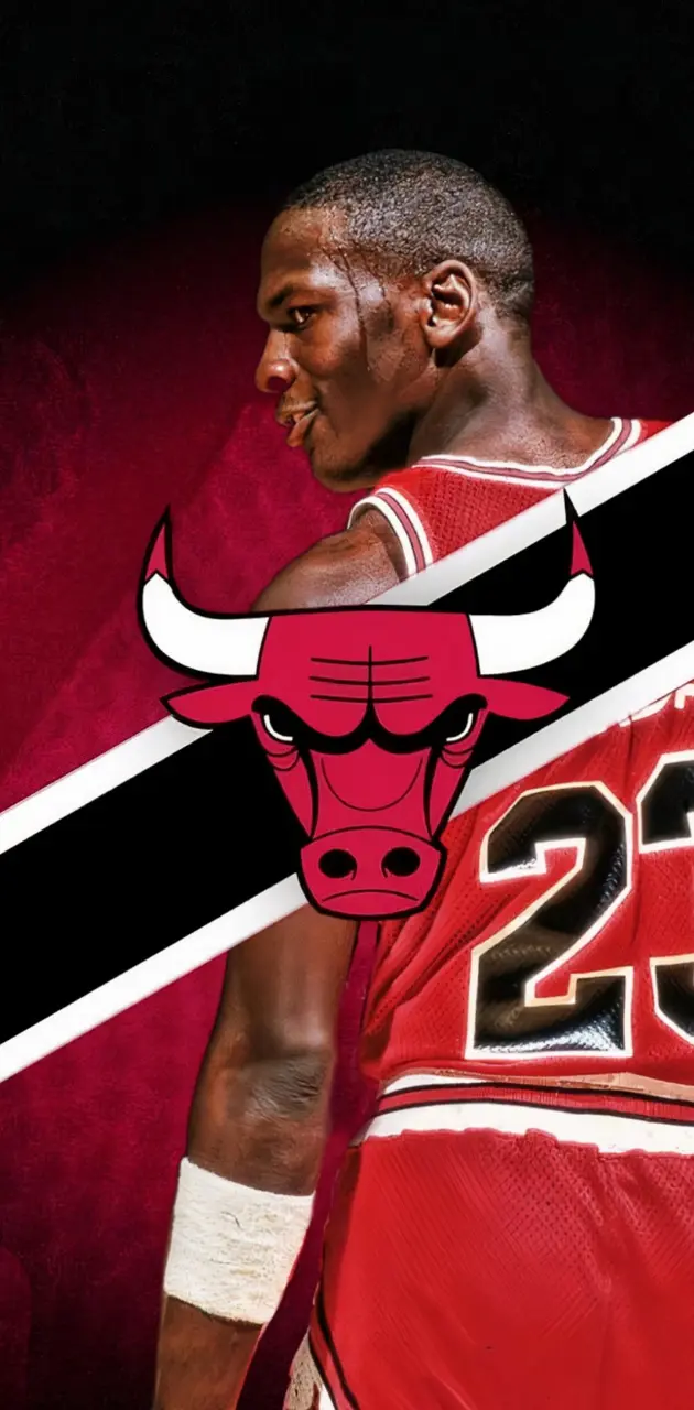 Michael Jordan Bulls