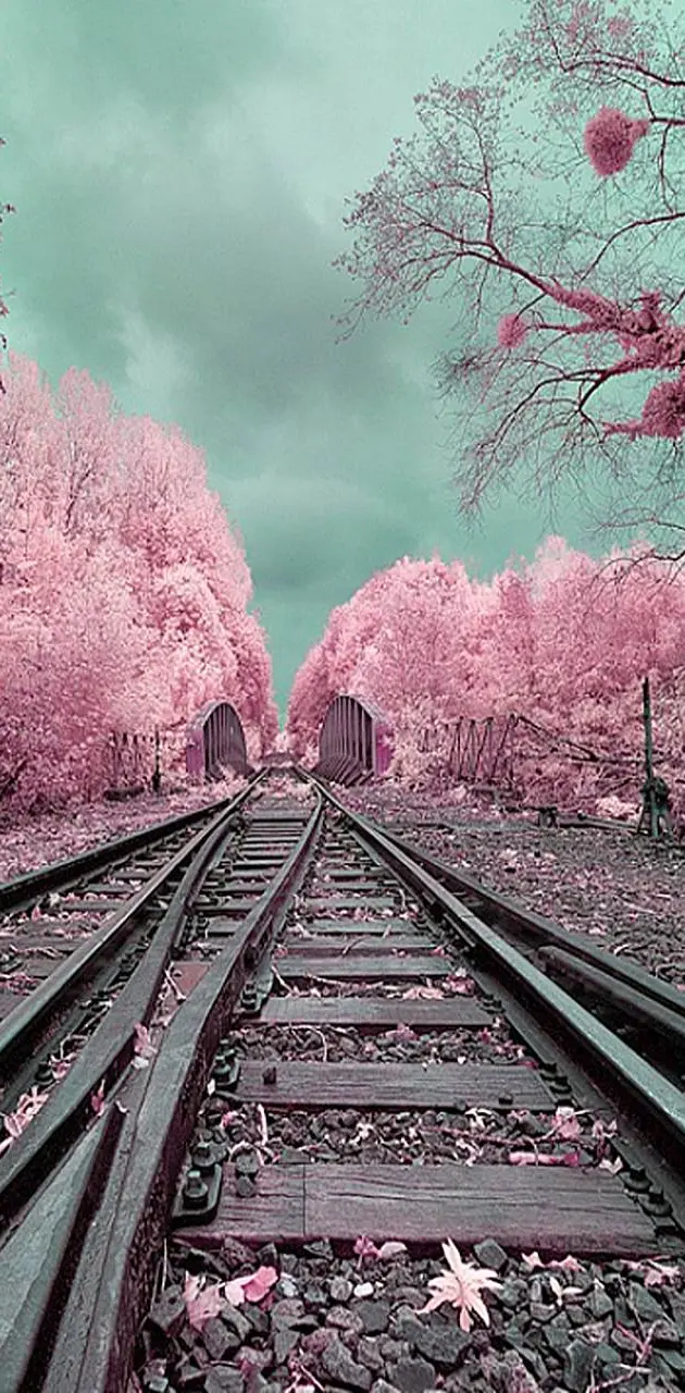 Pink Path