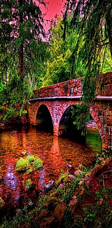 Bridge In The Park