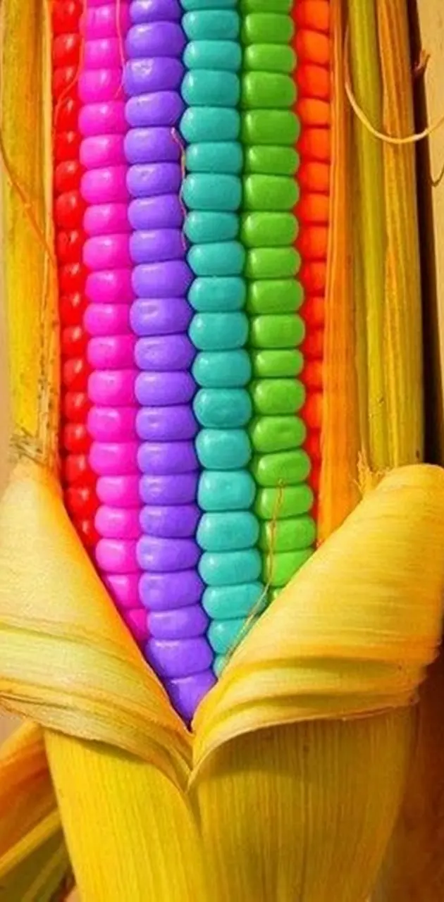 Colorful Corn