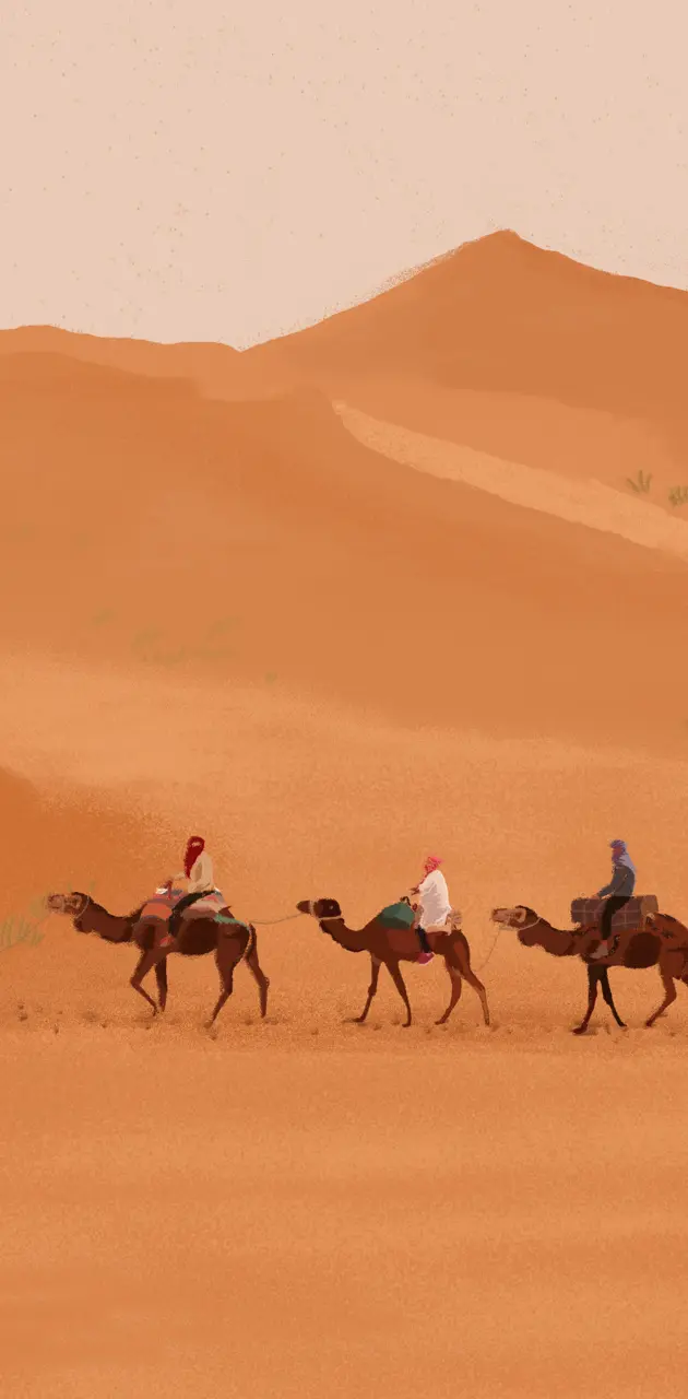 Sahara Illustration