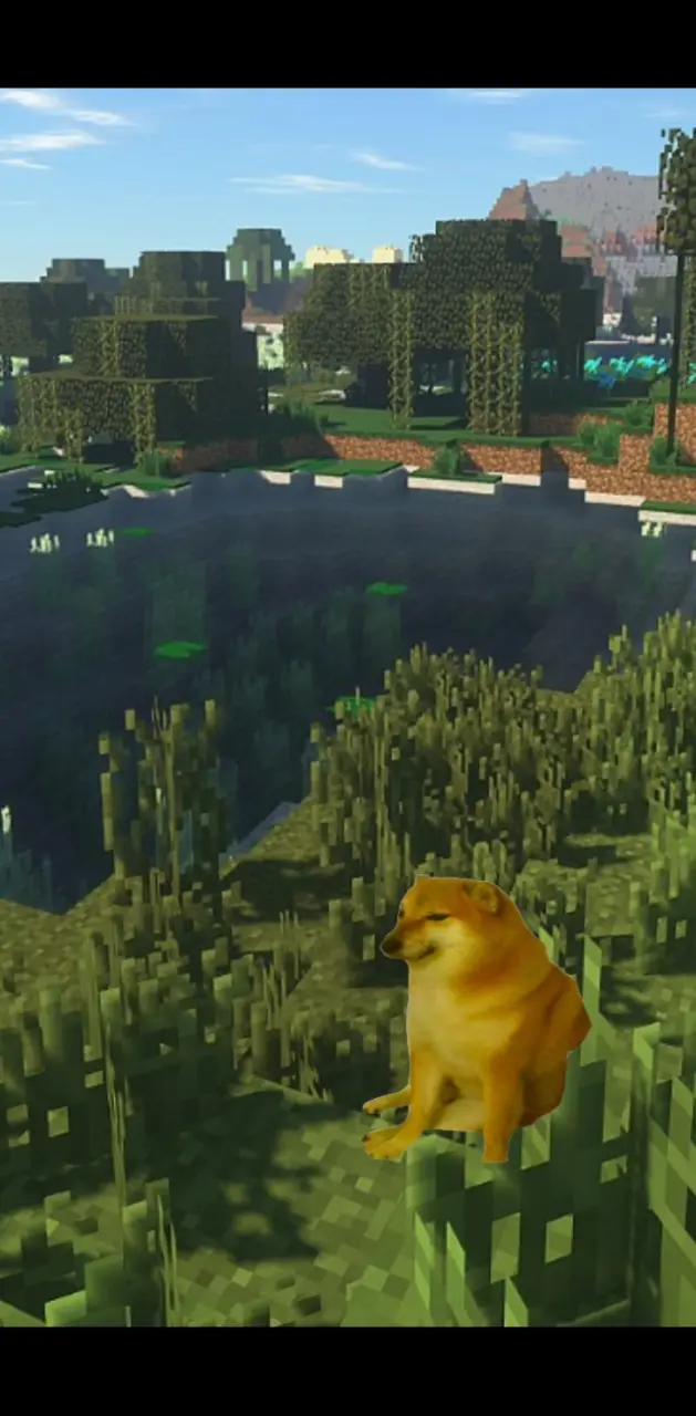 Minecraft Doge 