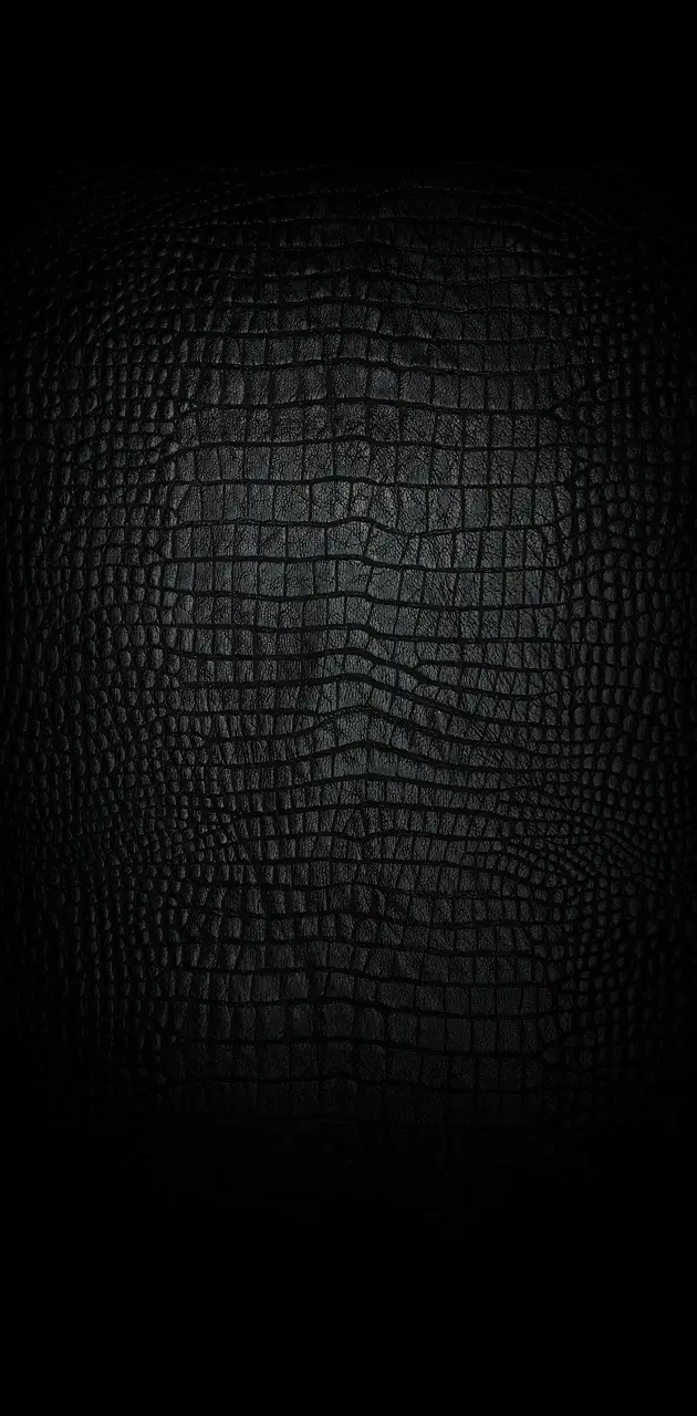 Crocodile black