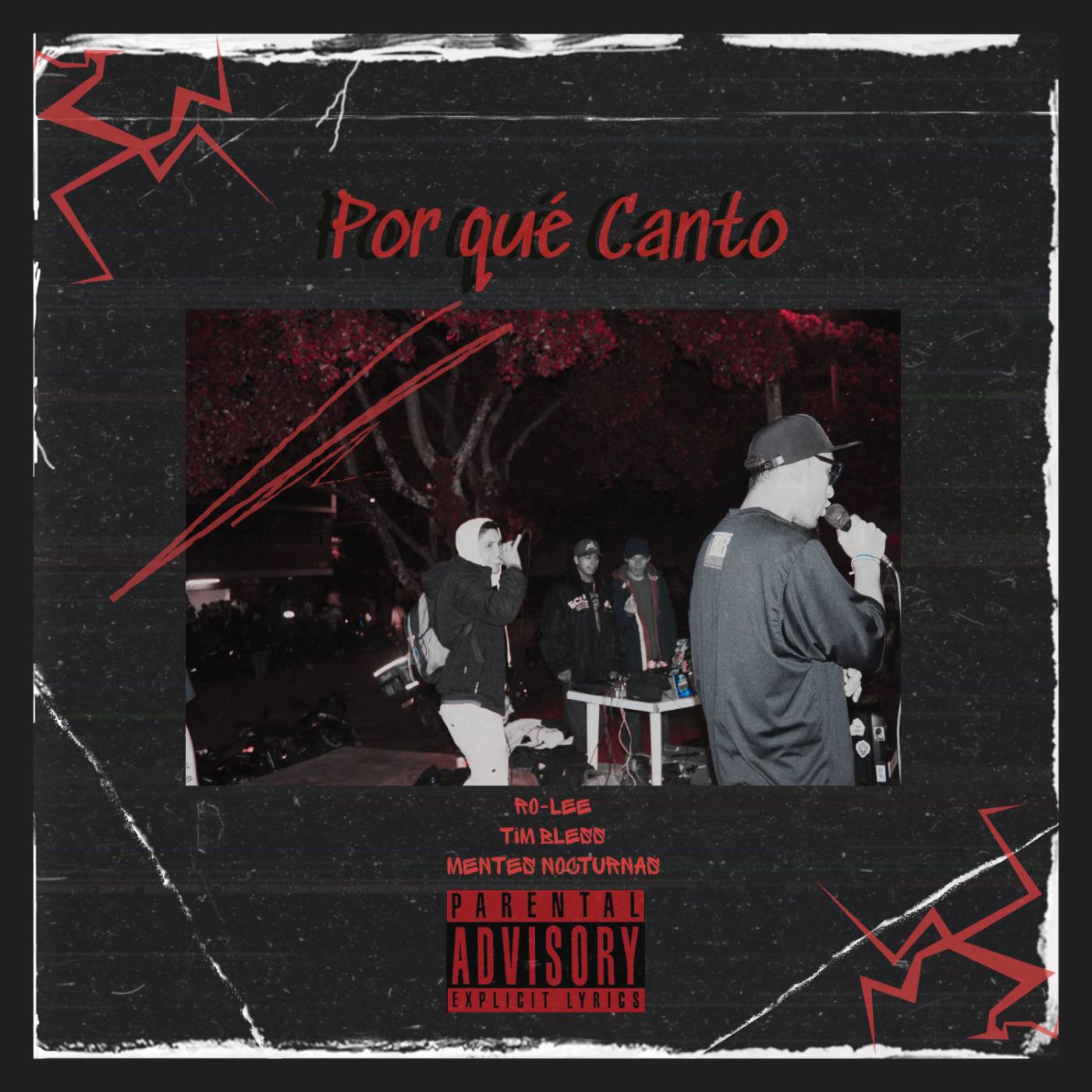 POR QUÉ CANTO