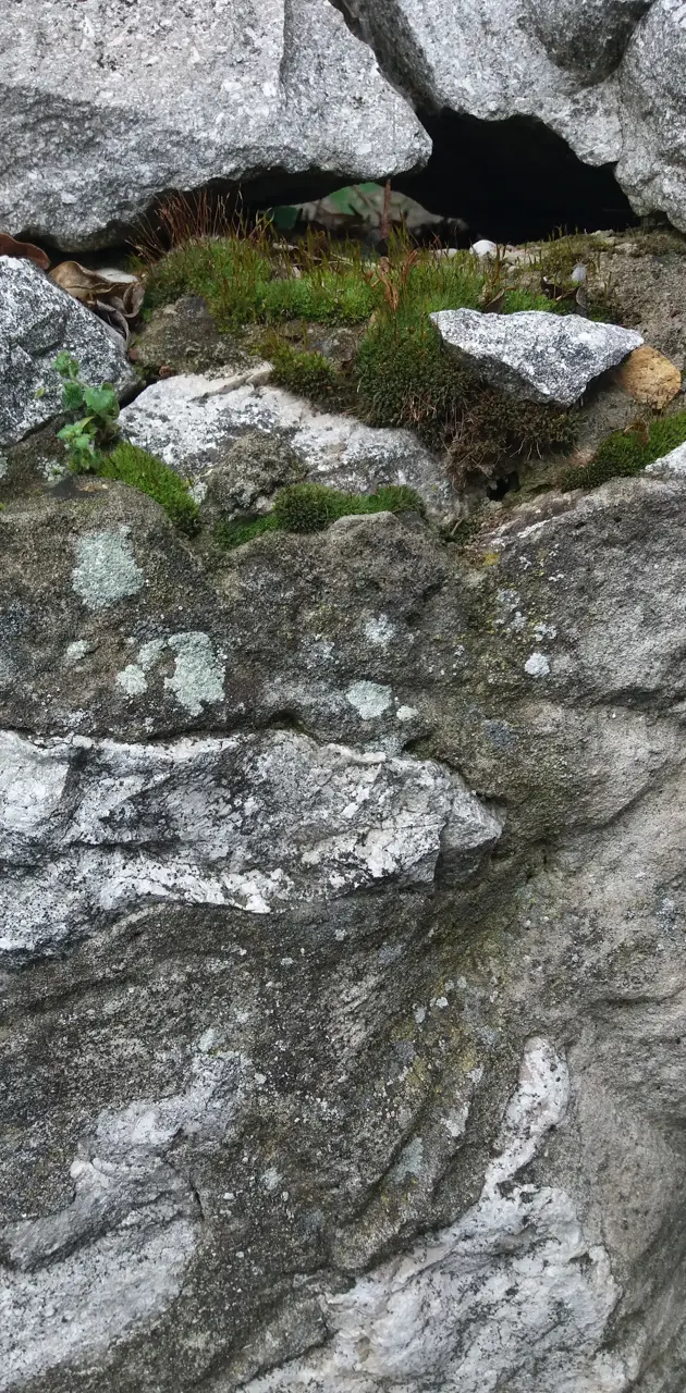 Mossy stone