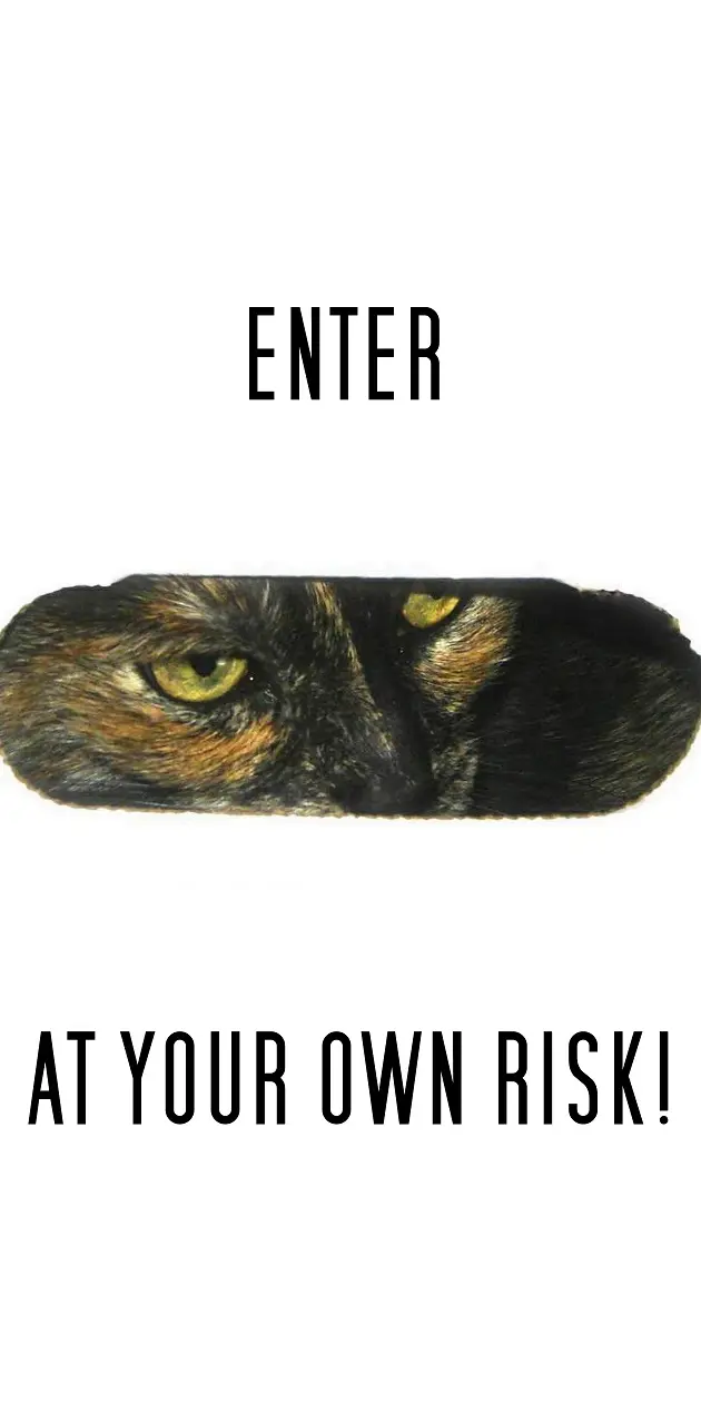 Your Own Risk Cat