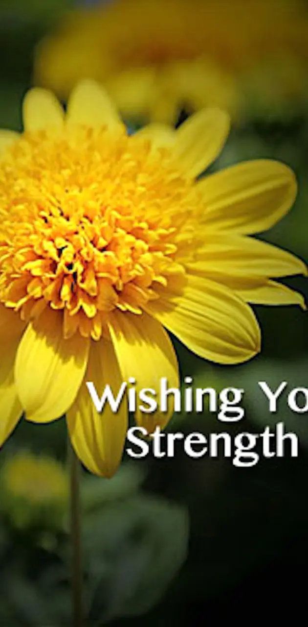 Wishing You Strength