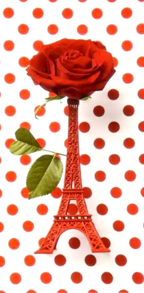 Red Rose Eiffel