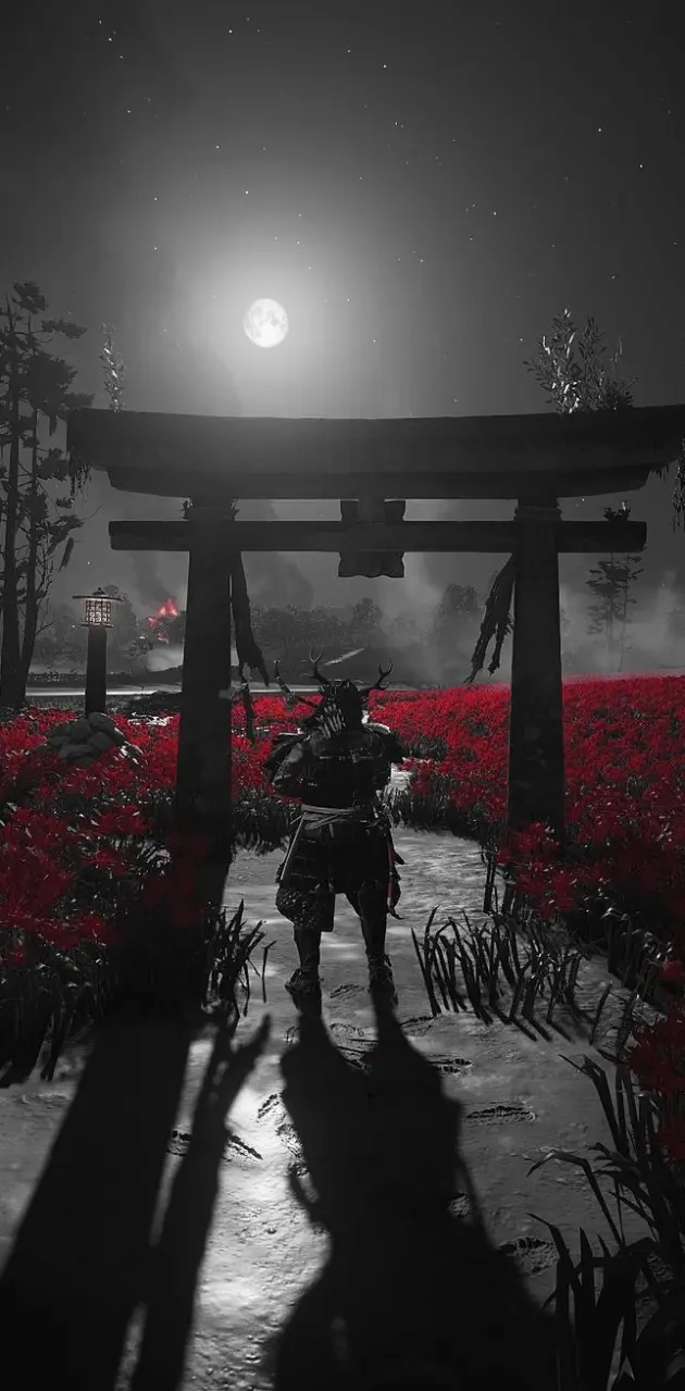 Ghost of tsushima