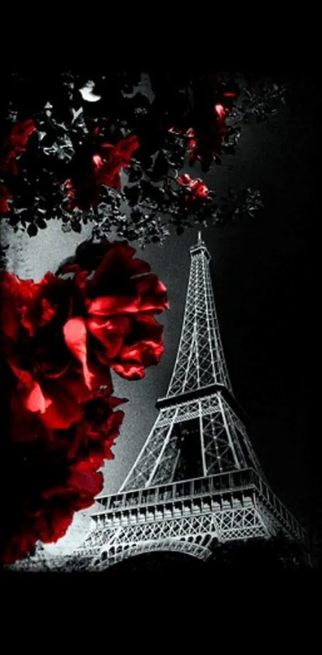 Red Paris Night 