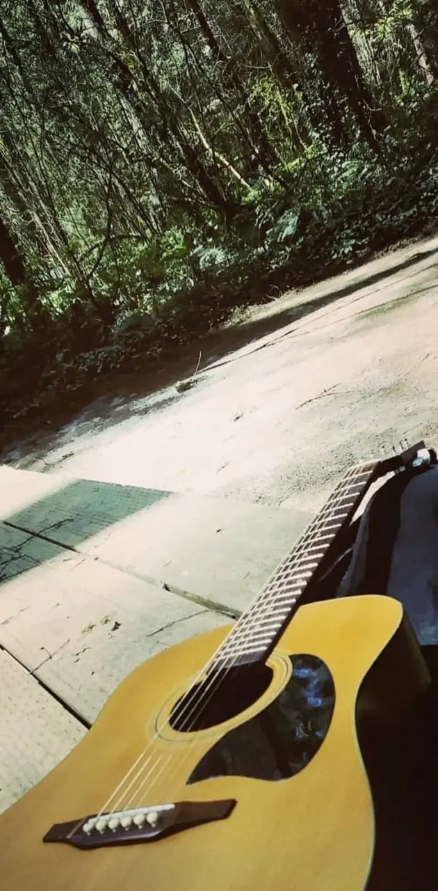 Guitar and Woods