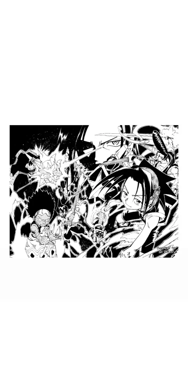Shaman King Manga 2