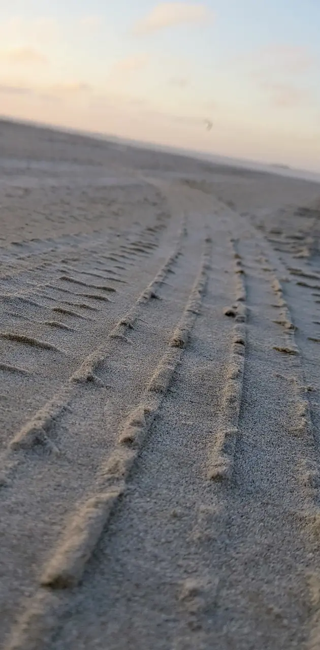 Whellprint in Sand