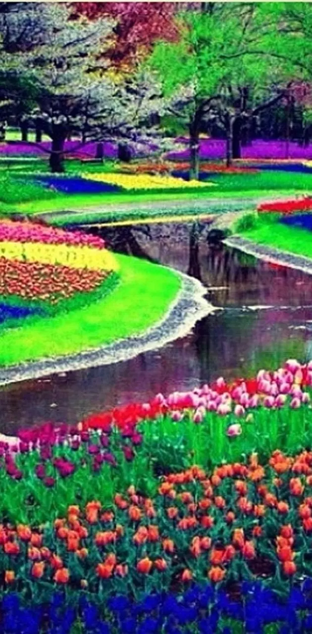 Colourful Garden