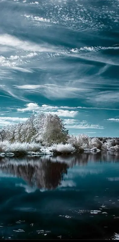 Frosty Lake