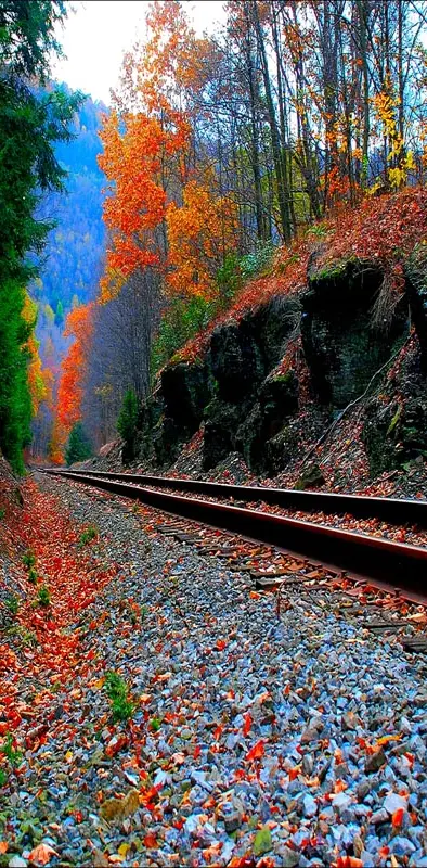 Autumn Track