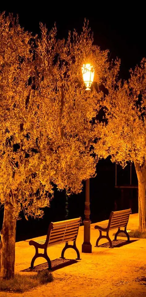Benches light