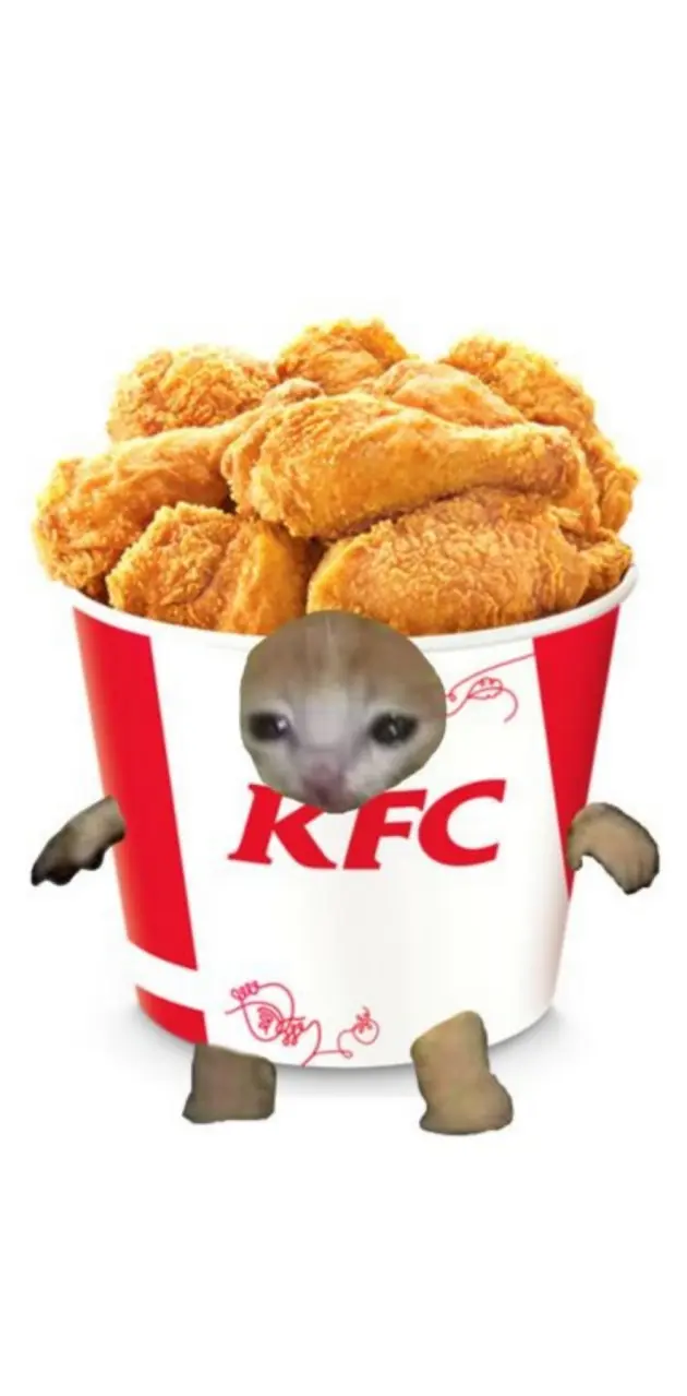 KFC Meme Cat
