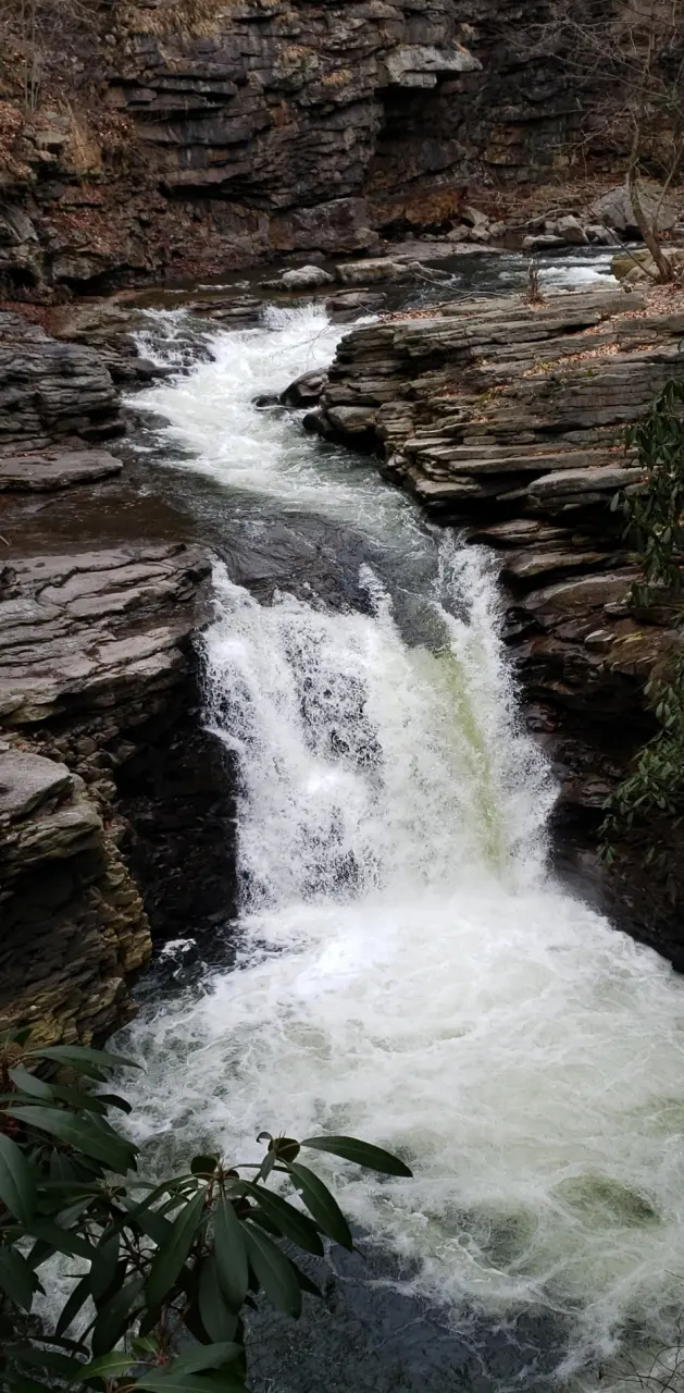 Waterfall Gorge 