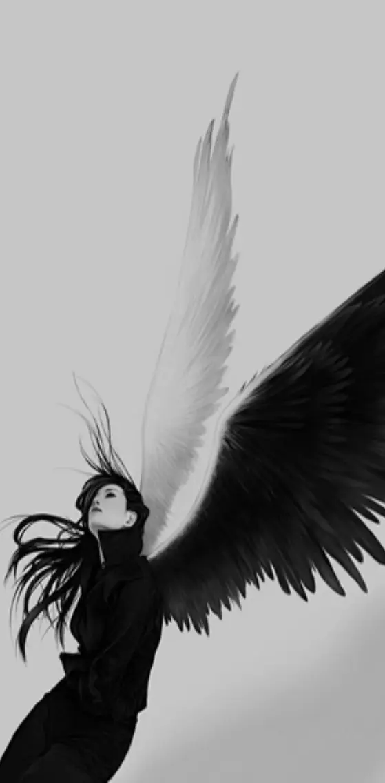 Fallen Angel