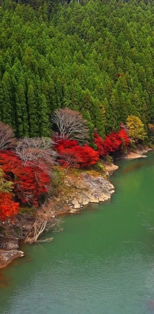 autumn river