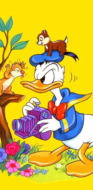 Donald Duck Cute