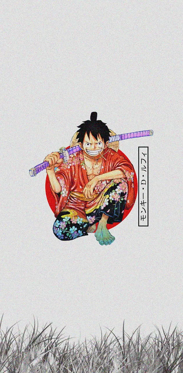 One piece (luffy)