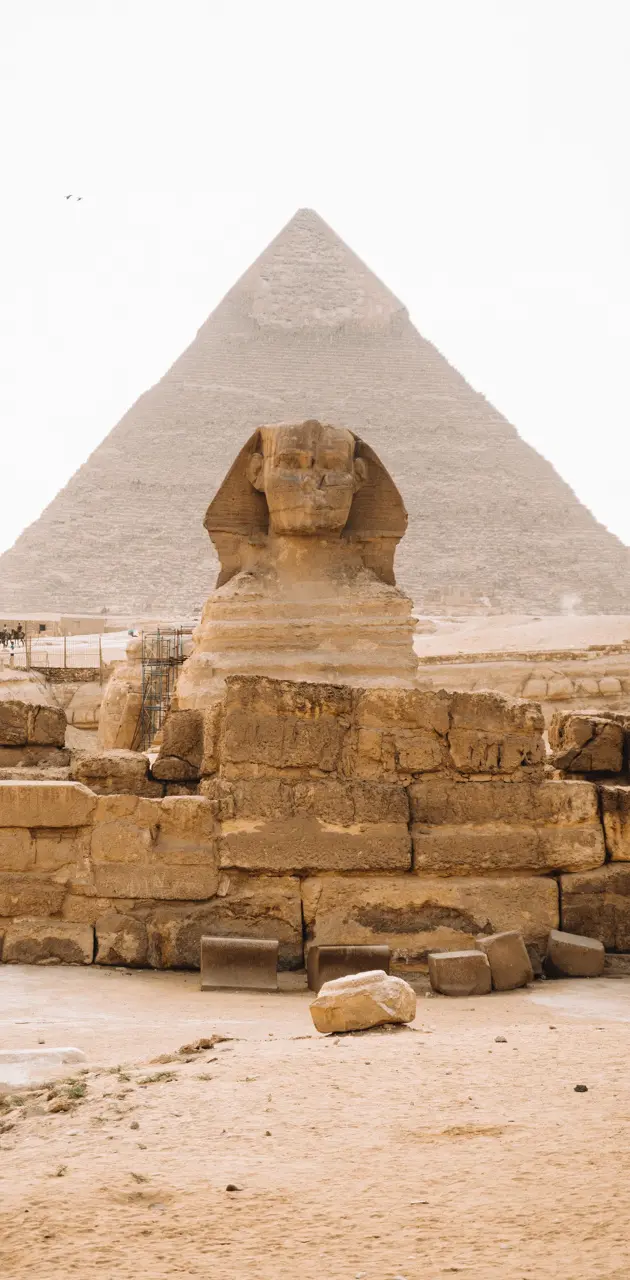 Pyramid Sphinx