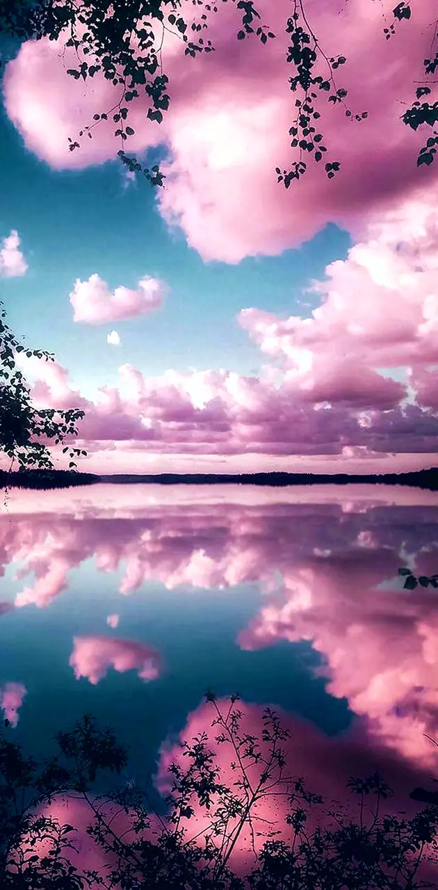 Reflecting pink sky