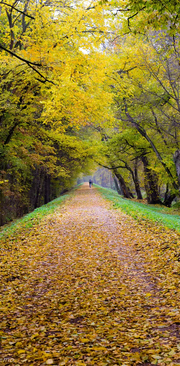 Poland autumn