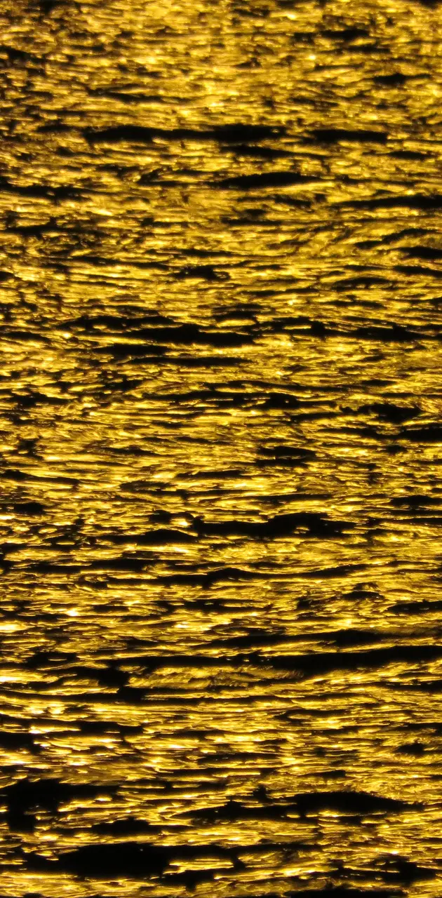 golden sea