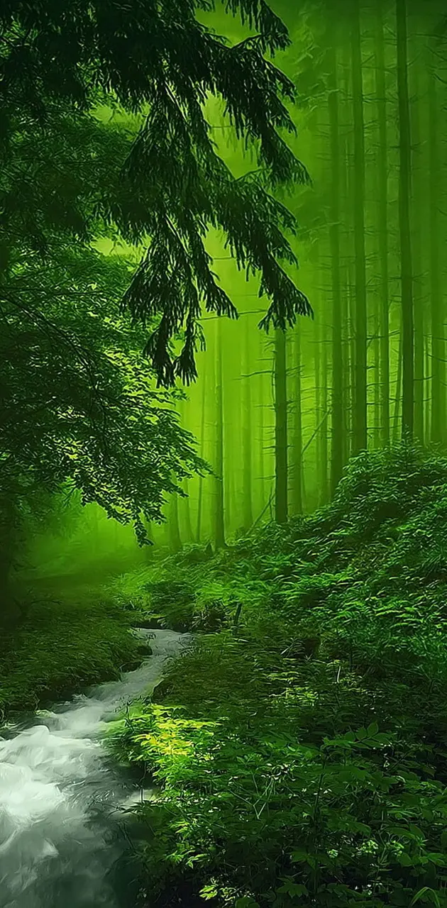 green forest walpaper 