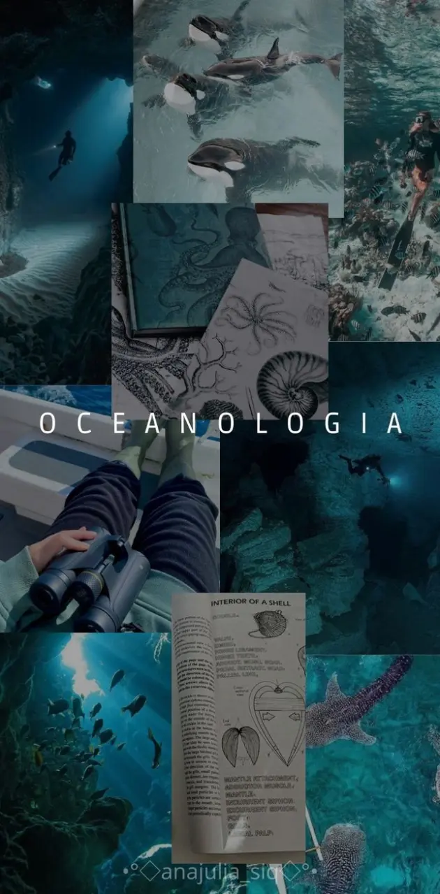 Ocean Biology 