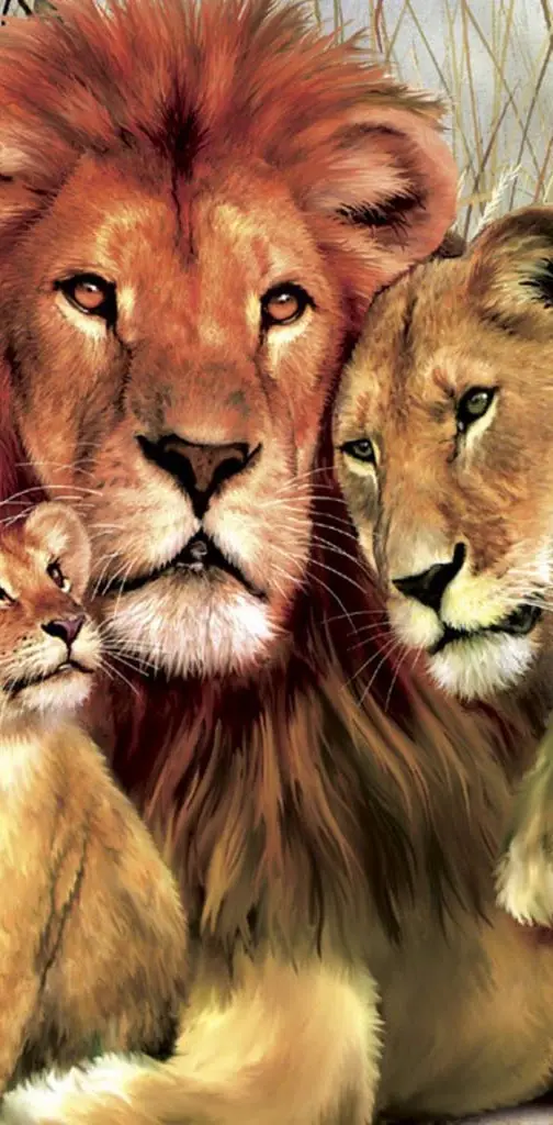 3 Animals Lion