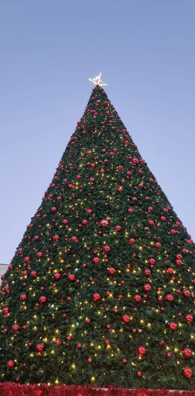 Cool Christmas tree