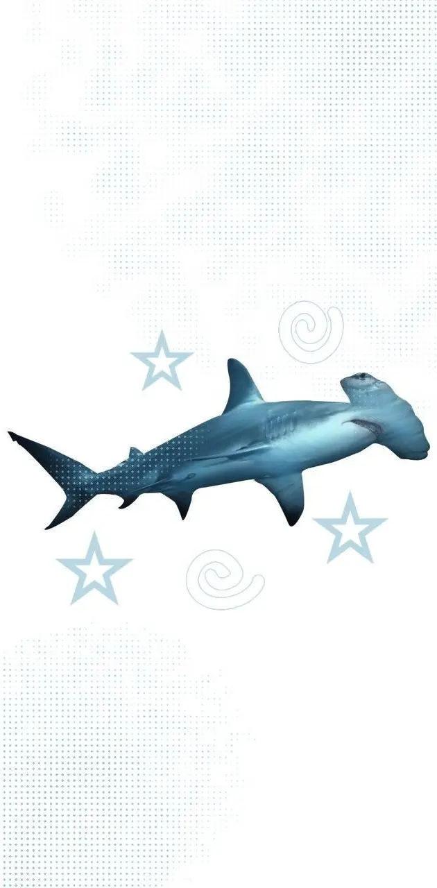 Hammerhead SHARKS tiburón cabeza de martillo cute