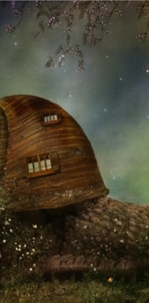 A Snail of a House