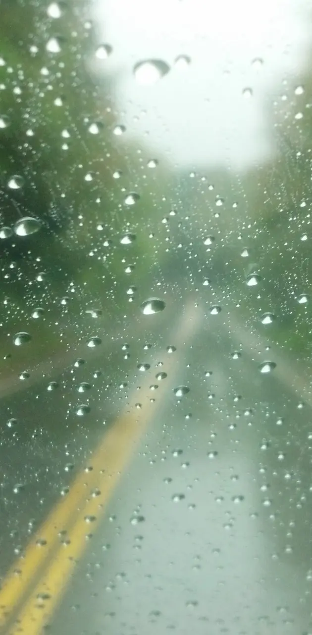 Rainy Drive