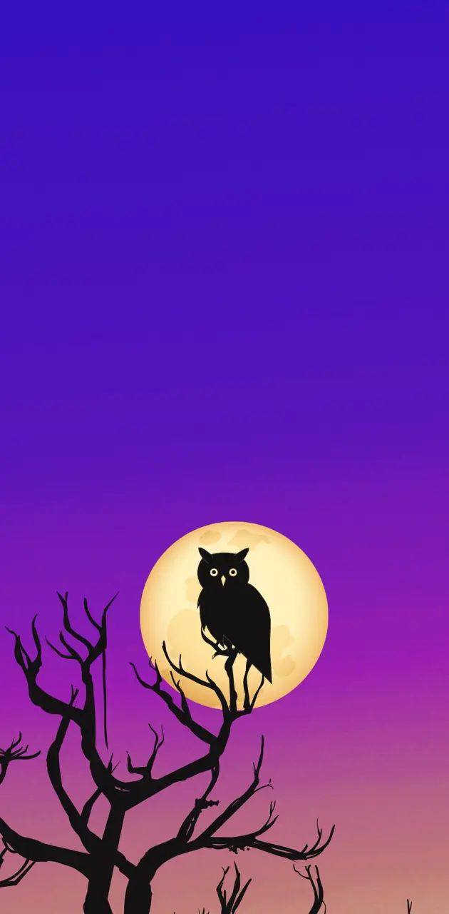 OWL Moon