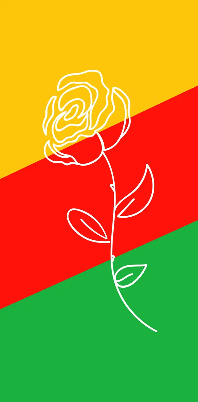 Kurdish rose