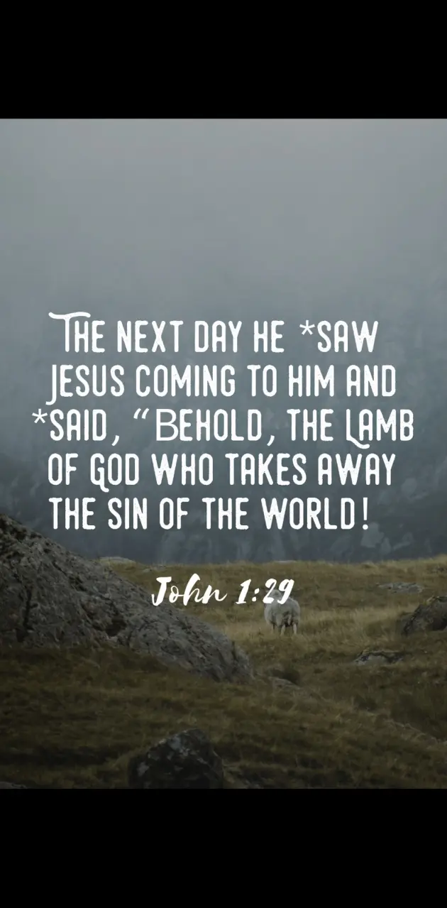 John 1 29