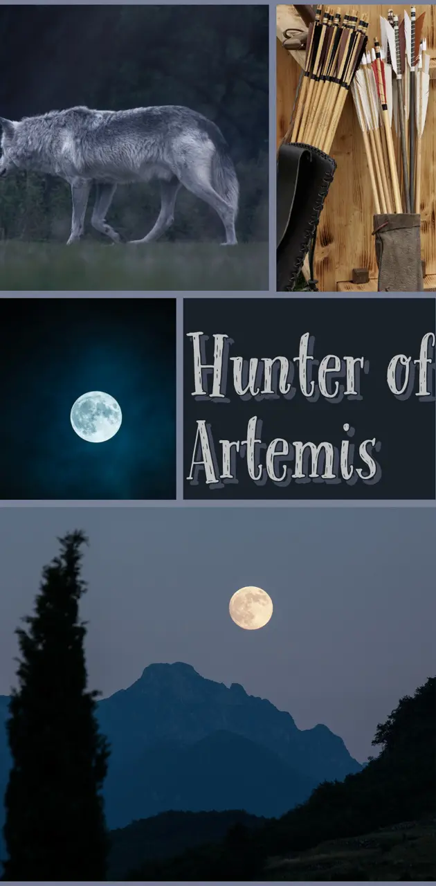 Hunter of Artemis