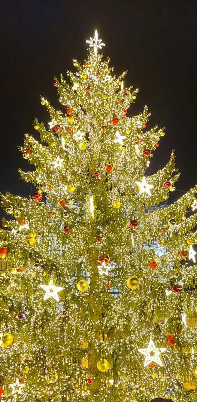 christmass tree